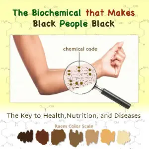 Book cover of The Power and Science of Melanin by Dr. LLaila Afrika
